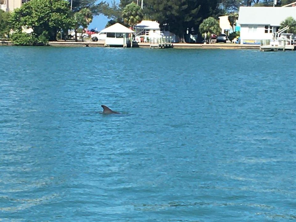 待售: $1,500,000 (0.24 acres)