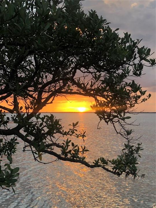 En Venta: $117,500 (2 camas, 1 baños, 667 Pies cuadrados)