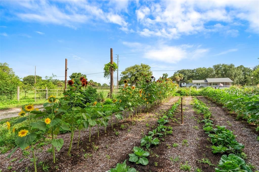 For Sale: $1,500,000 (8 beds, 4 baths, 4450 Square Feet)