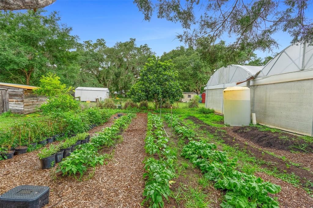 For Sale: $1,500,000 (8 beds, 4 baths, 4450 Square Feet)