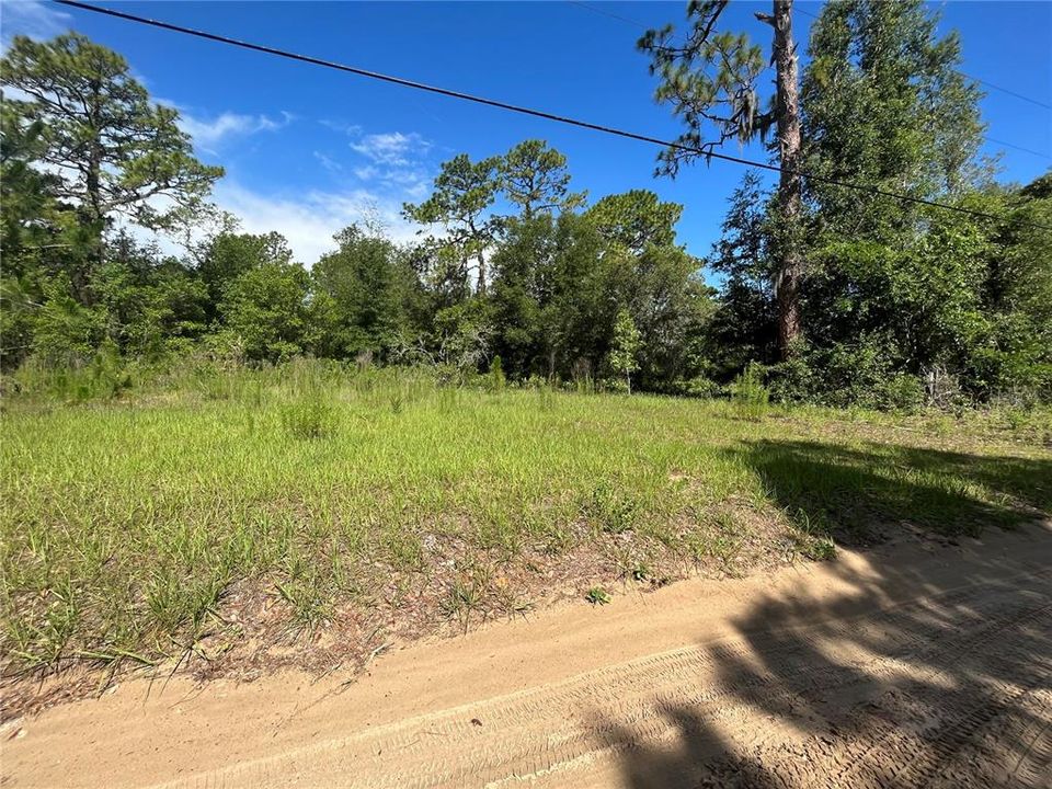 待售: $100,000 (3.07 acres)