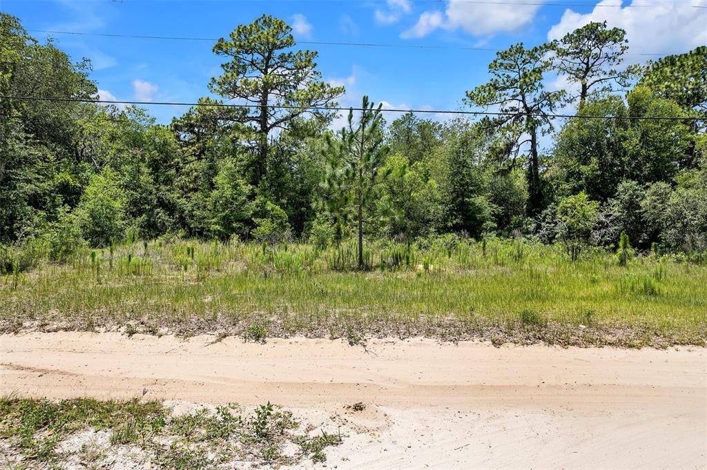 待售: $100,000 (3.07 acres)