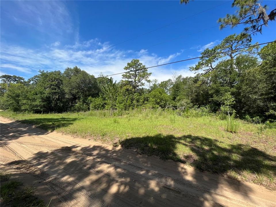 待售: $100,000 (3.07 acres)