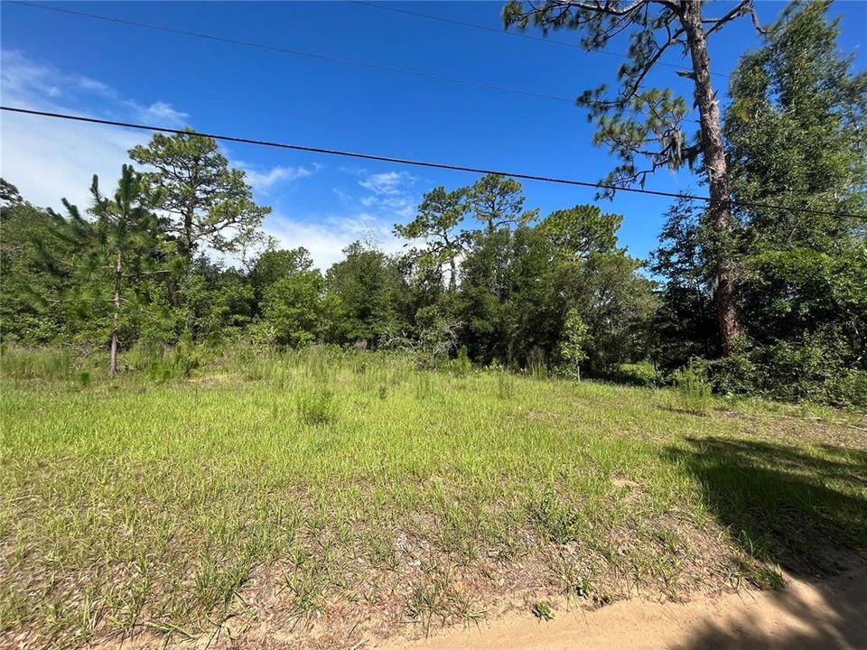 待售: $100,000 (3.07 acres)