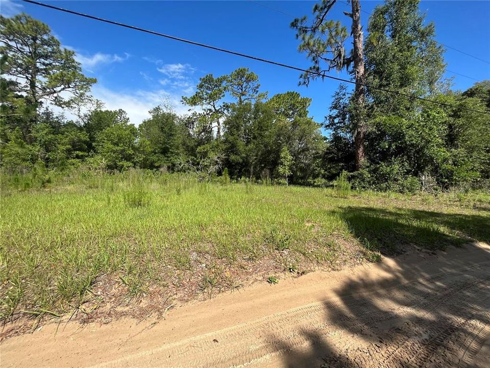 待售: $100,000 (3.07 acres)