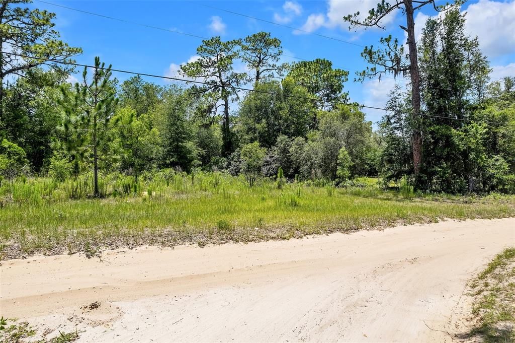 待售: $100,000 (3.07 acres)