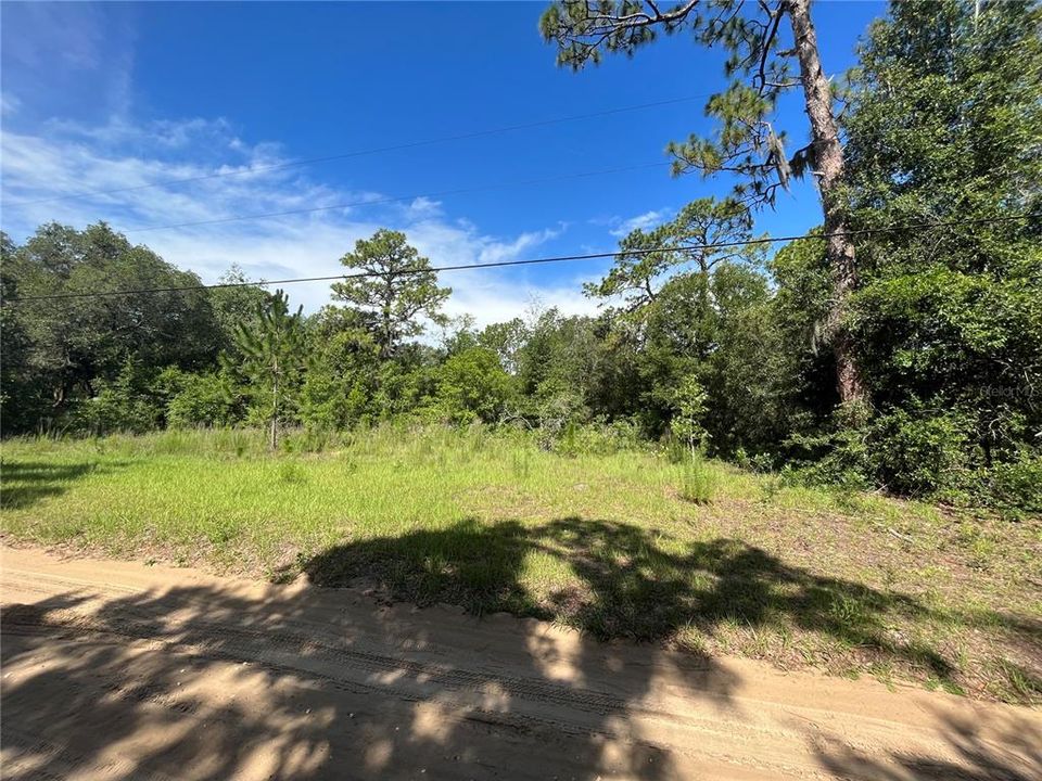 待售: $100,000 (3.07 acres)