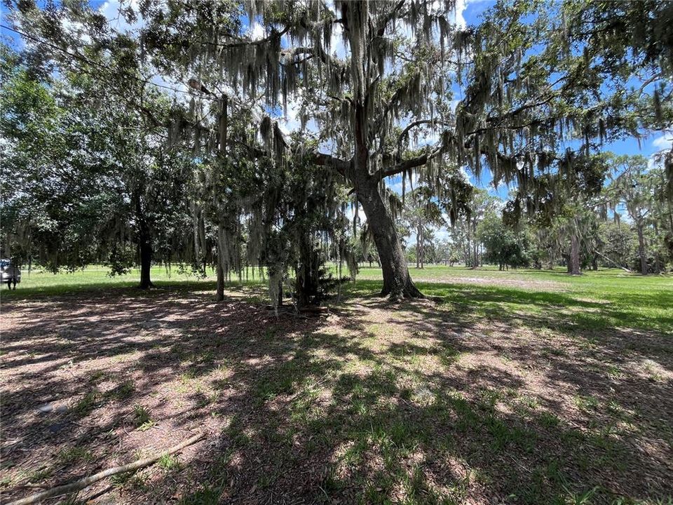 待售: $299,900 (3 贝兹, 2 浴室, 1518 平方英尺)