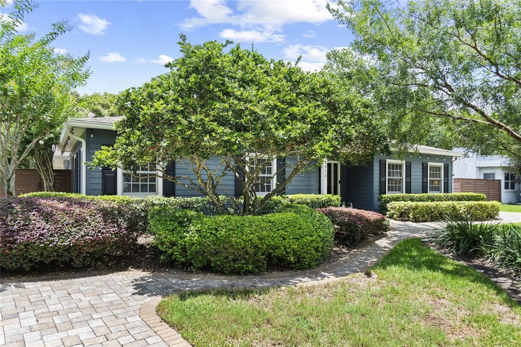 Beautiful Wadeview Park/ SODO home on quiet street on over 1/4 acre lot