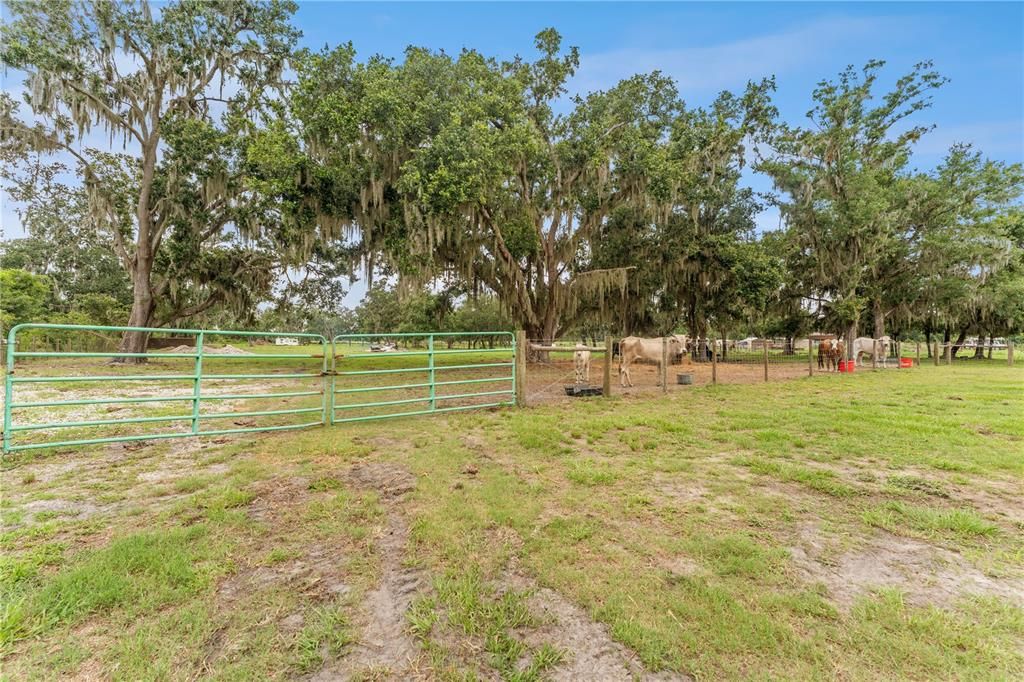 На продажу: $579,000 (3 спален, 2 ванн, 2101 Квадратных фут)