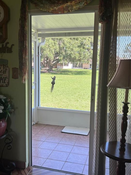 待售: $88,000 (1 贝兹, 1 浴室, 648 平方英尺)