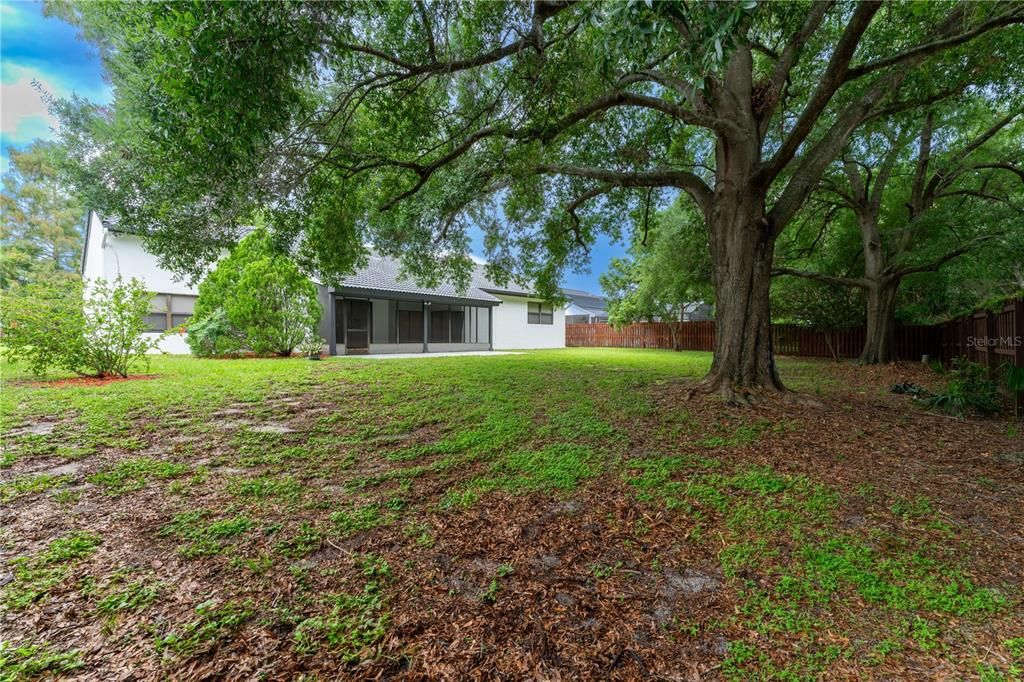 Activo con contrato: $629,000 (4 camas, 3 baños, 2523 Pies cuadrados)