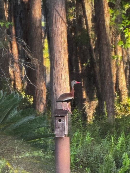 For Sale: $4,200,000 (3 beds, 2 baths, 2376 Square Feet)