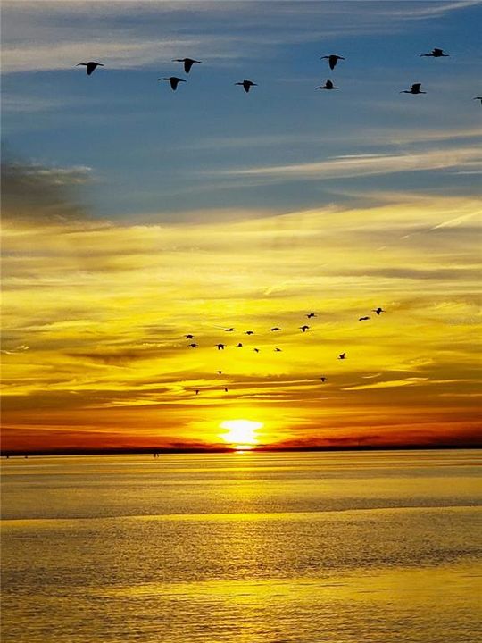 Activo con contrato: $2,000,000 (0.25 acres)