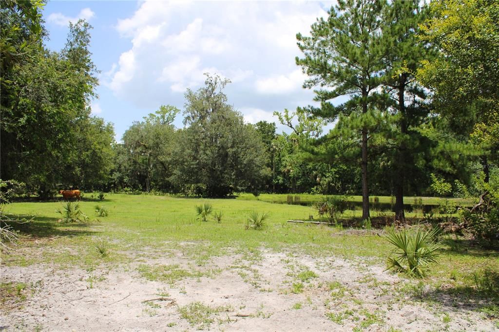 На продажу: $425,000 (6.28 acres)