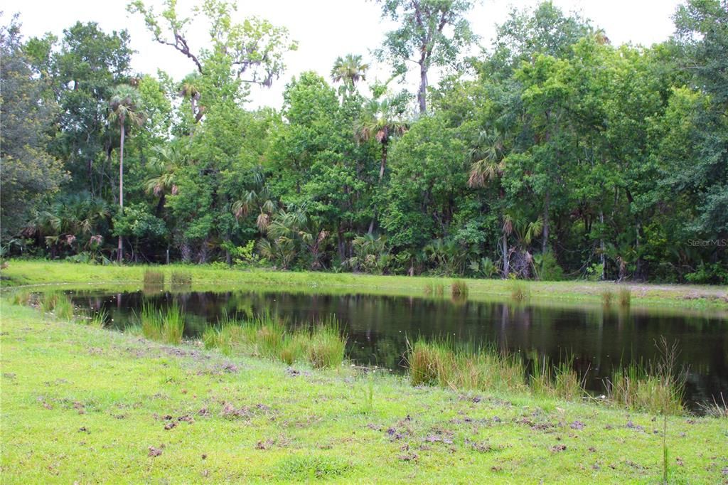 На продажу: $425,000 (6.28 acres)