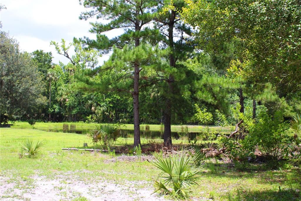 На продажу: $425,000 (6.28 acres)