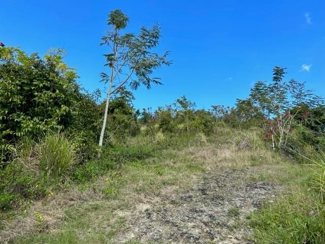 For Sale: $355,000 (2 beds, 1 baths, 1316 Square Feet)