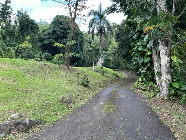 For Sale: $355,000 (2 beds, 1 baths, 1316 Square Feet)