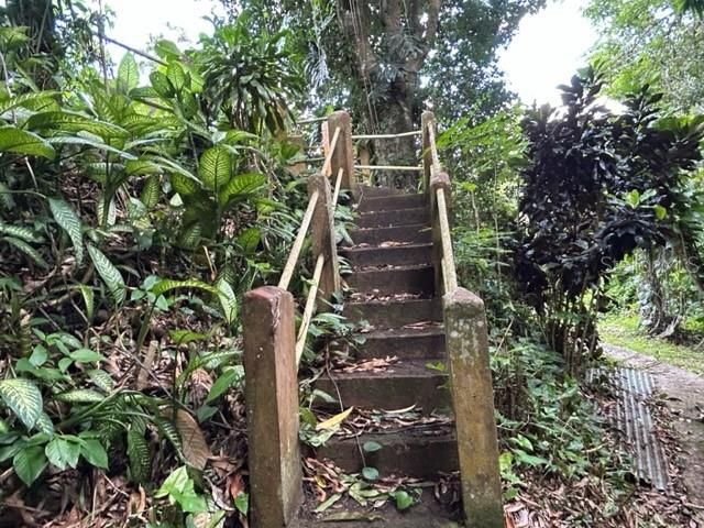 For Sale: $355,000 (2 beds, 1 baths, 1316 Square Feet)