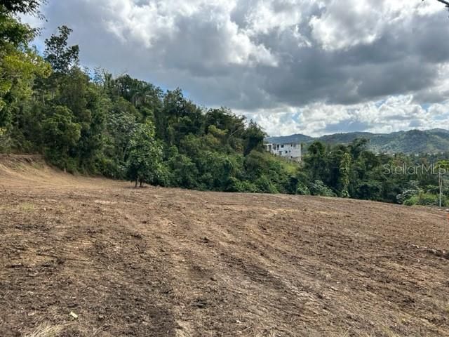 For Sale: $355,000 (2 beds, 1 baths, 1316 Square Feet)