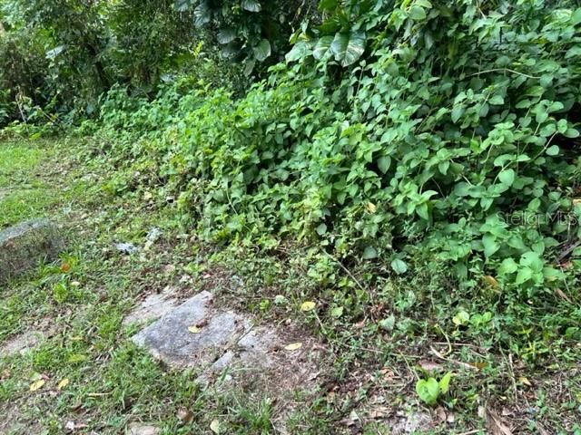 For Sale: $355,000 (2 beds, 1 baths, 1316 Square Feet)