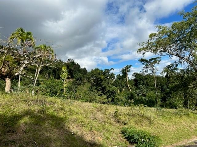 For Sale: $355,000 (2 beds, 1 baths, 1316 Square Feet)