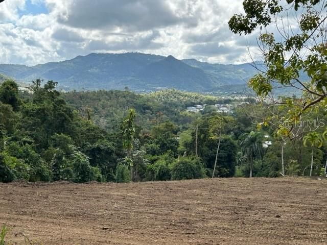 For Sale: $355,000 (2 beds, 1 baths, 1316 Square Feet)