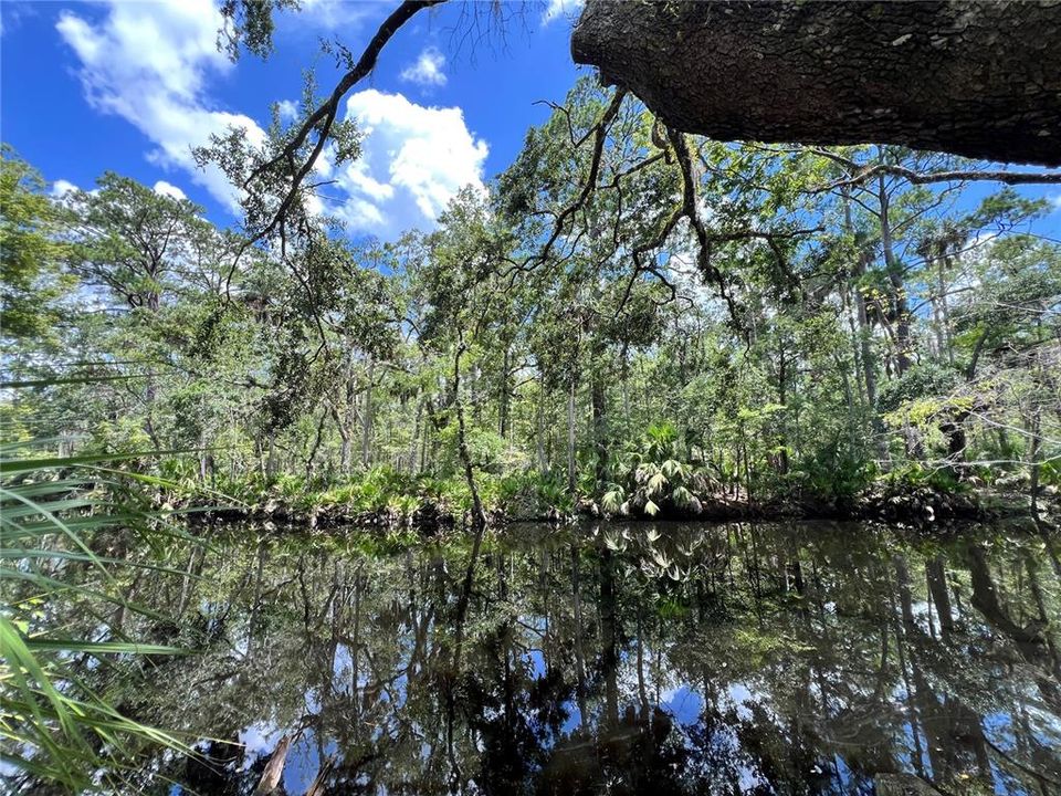 En Venta: $425,000 (2 camas, 2 baños, 1590 Pies cuadrados)