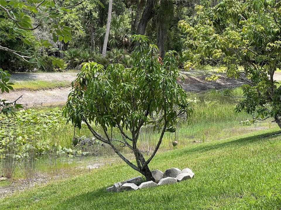 En Venta: $450,000 (3 camas, 2 baños, 2208 Pies cuadrados)