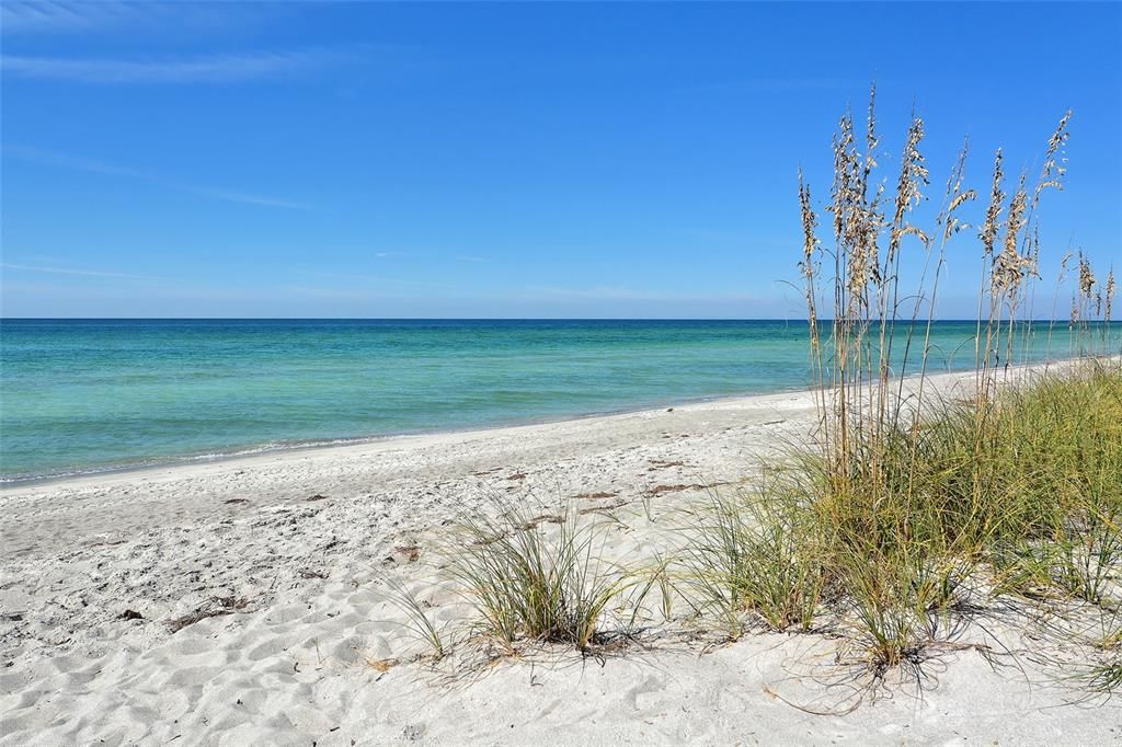 Под контрактом: $1,250,000 (3 спален, 2 ванн, 1484 Квадратных фут)