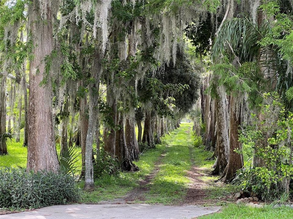 待售: $779,000 (4 贝兹, 3 浴室, 2250 平方英尺)