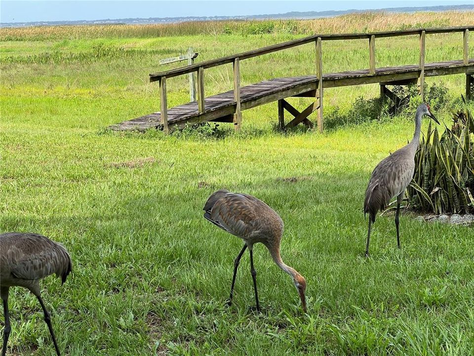 待售: $779,000 (4 贝兹, 3 浴室, 2250 平方英尺)