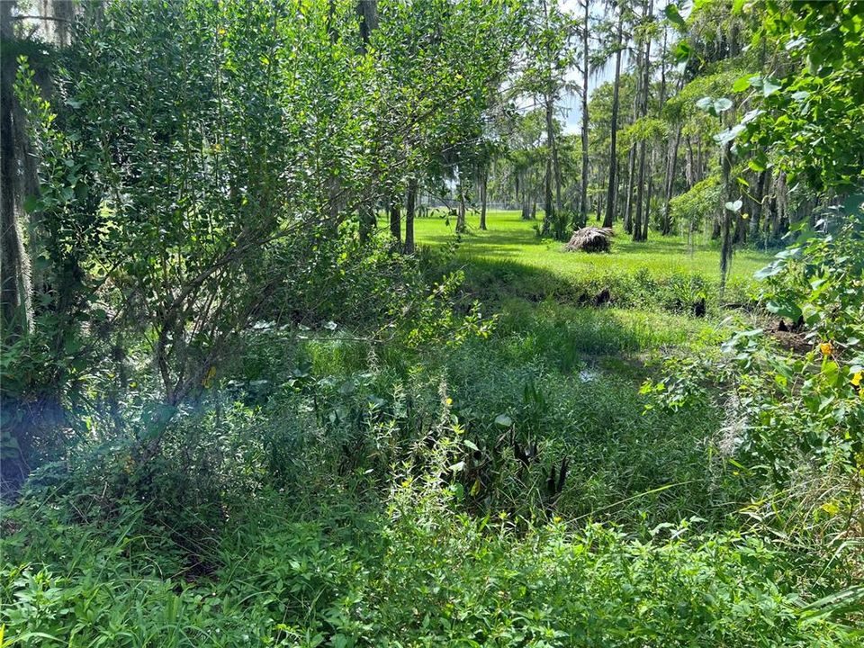 待售: $779,000 (4 贝兹, 3 浴室, 2250 平方英尺)