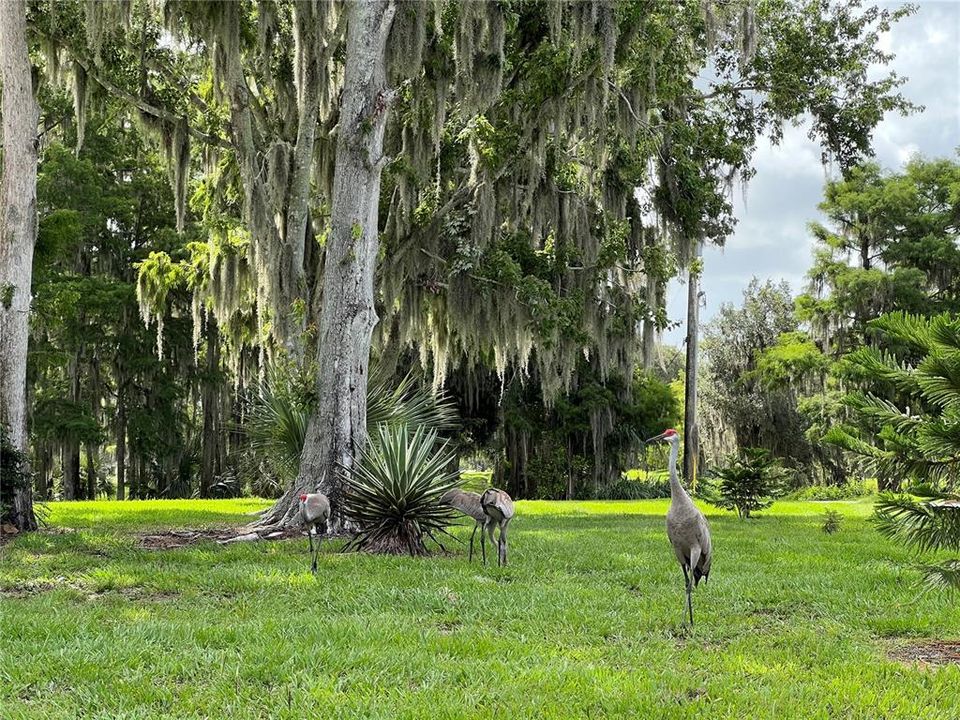 待售: $779,000 (4 贝兹, 3 浴室, 2250 平方英尺)