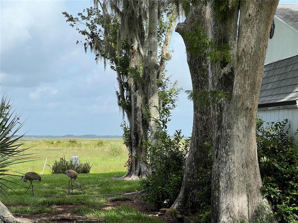 待售: $779,000 (4 贝兹, 3 浴室, 2250 平方英尺)