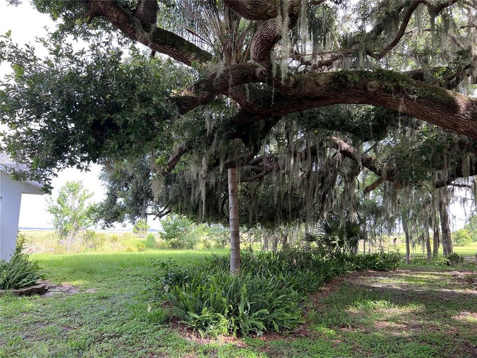 待售: $779,000 (4 贝兹, 3 浴室, 2250 平方英尺)