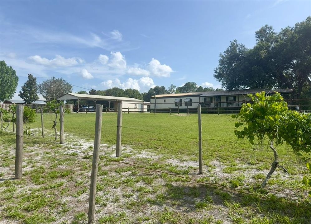 For Sale: $325,000 (3 beds, 2 baths, 924 Square Feet)