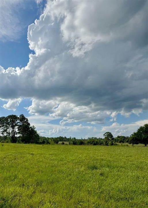 For Sale: $325,000 (3 beds, 2 baths, 924 Square Feet)