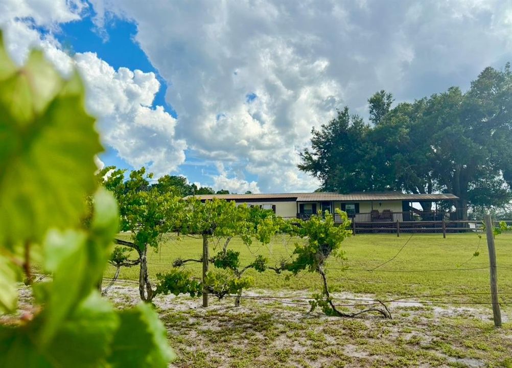 For Sale: $325,000 (3 beds, 2 baths, 924 Square Feet)