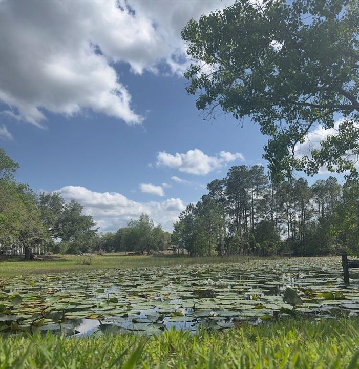 For Sale: $325,000 (3 beds, 2 baths, 924 Square Feet)