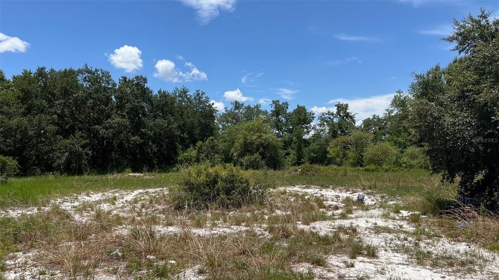 For Sale: $850,000 (5.89 acres)