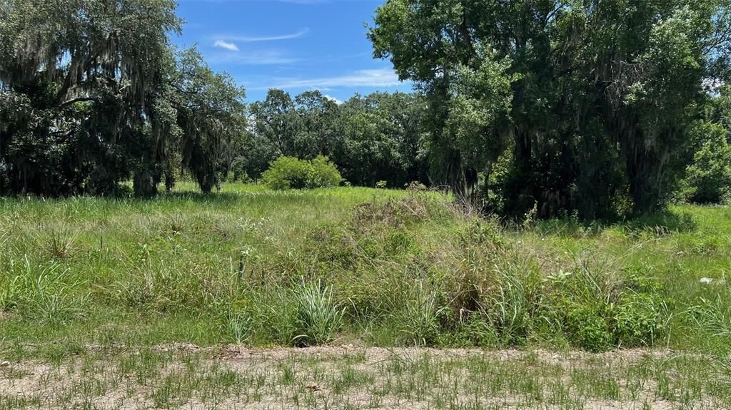 For Sale: $850,000 (5.89 acres)