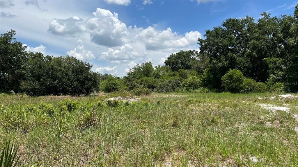 For Sale: $850,000 (5.89 acres)