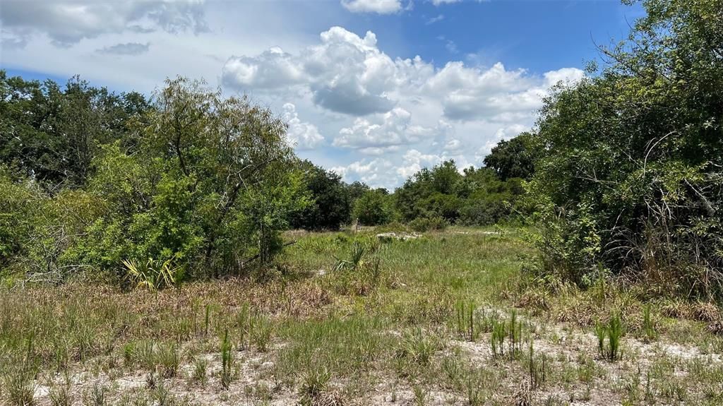 For Sale: $850,000 (5.89 acres)