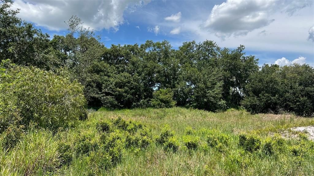 For Sale: $850,000 (5.89 acres)