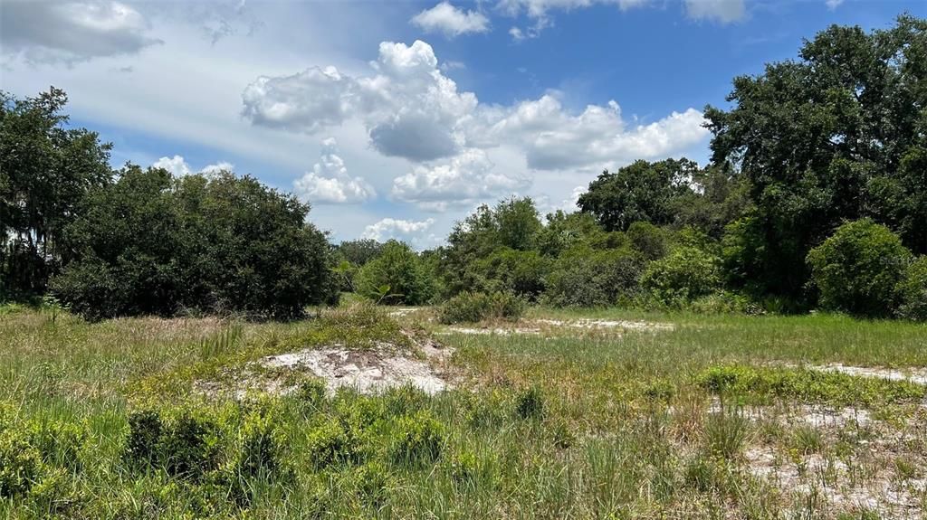 For Sale: $850,000 (5.89 acres)