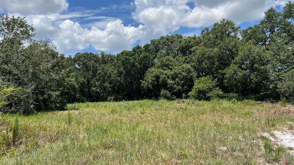 For Sale: $850,000 (5.89 acres)