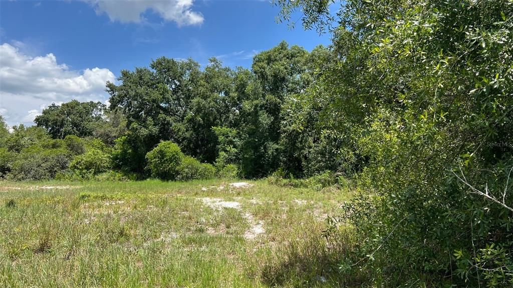 For Sale: $850,000 (5.89 acres)