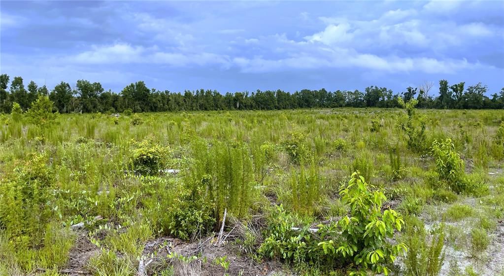 待售: $560,000 (40.00 acres)